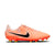 Nike Tiempo Legend 10 Academy MG Multi-Ground Soccer Cleats