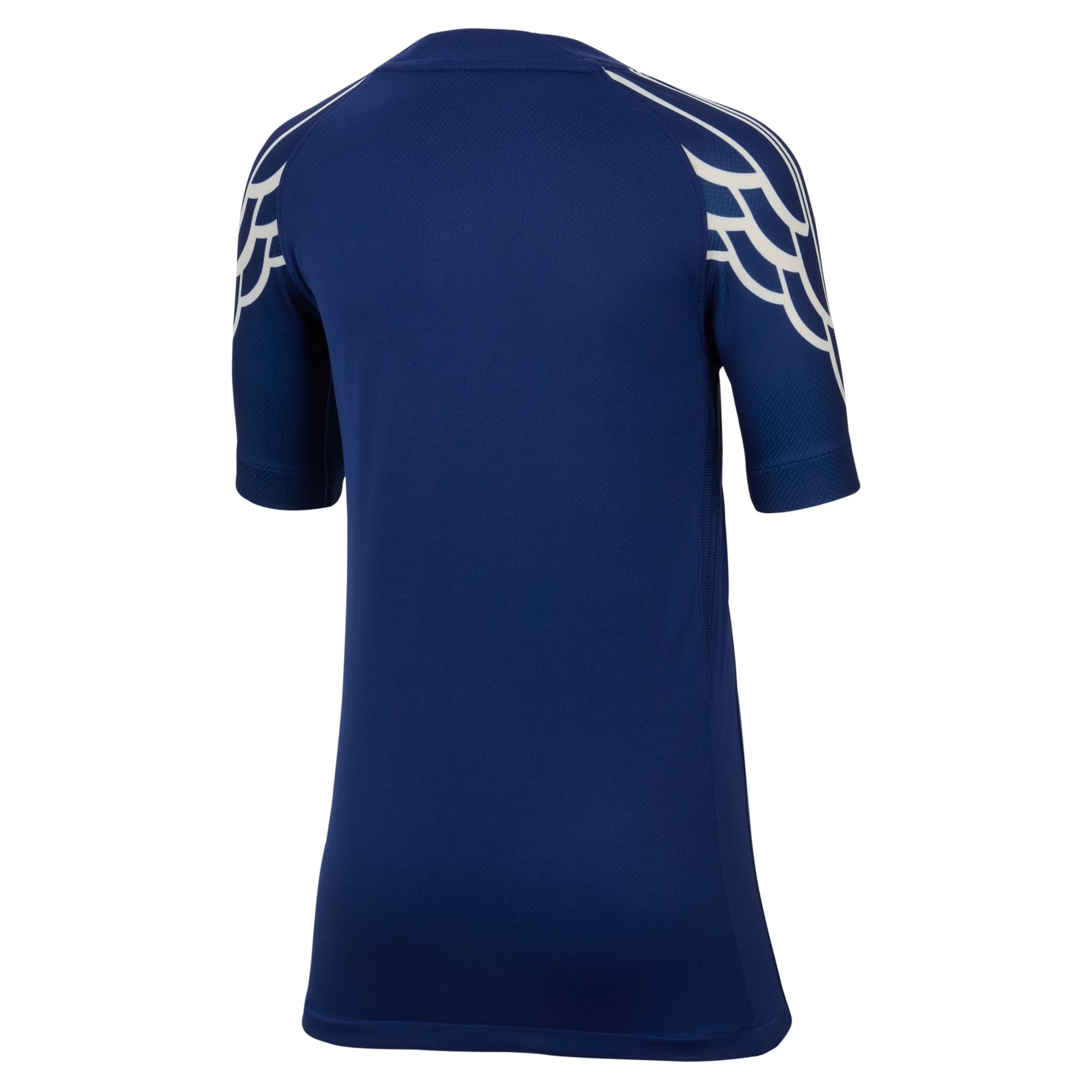 Jordan Paris Saint-Germain 2024/25 Stadium Fourth Big Kids' Dri-FIT Soccer Replica Jersey - HJ0921-493-NIKE by Nike | Available at Niky's Sports