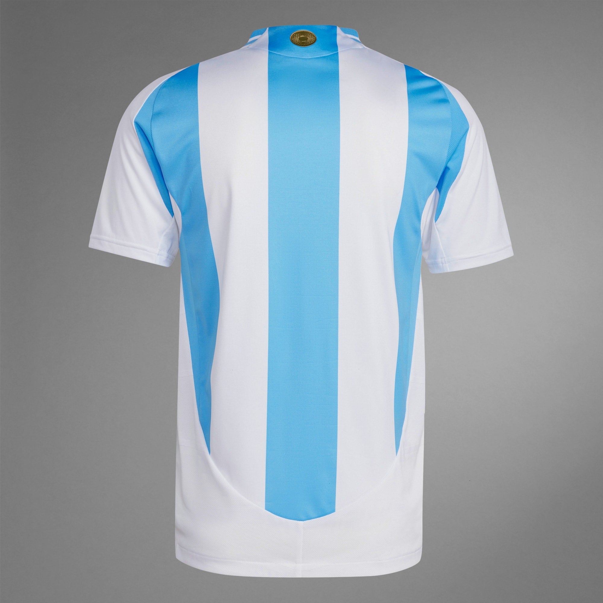 adidas ARGENTINA 2024 HOME AUTHENTIC JERSEY