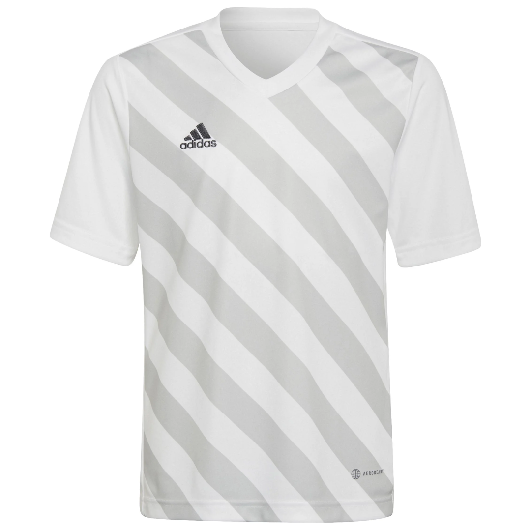 adidas Entrada 22 Graphic Jersey Youth