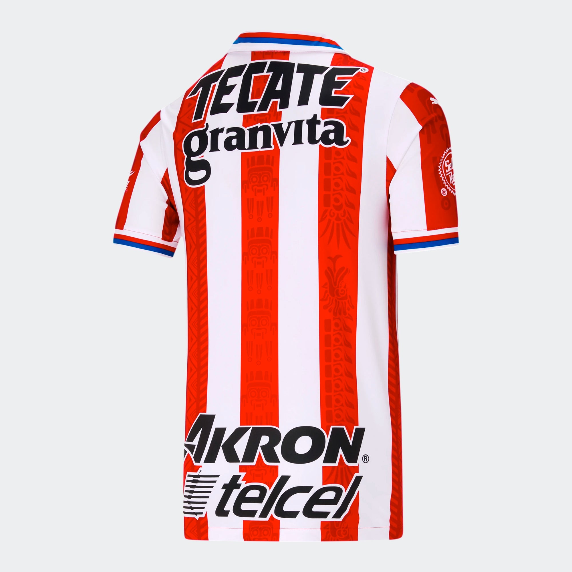 CHIVAS DE GUADALAJARA Home Jersey 20-21