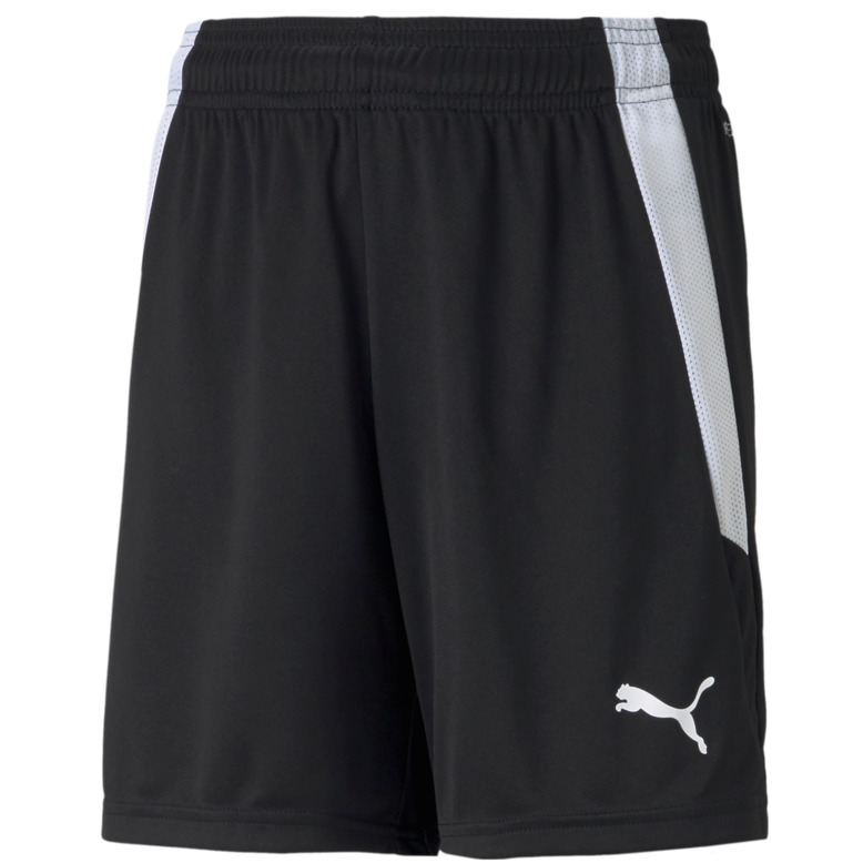 Puma Youth Team Liga 25 Soccer Short