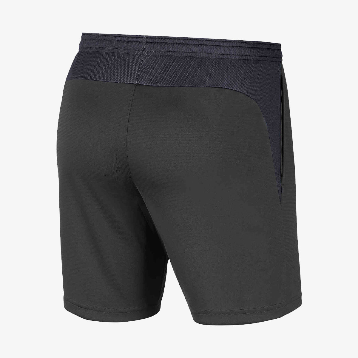 Nike Academy Pro Short