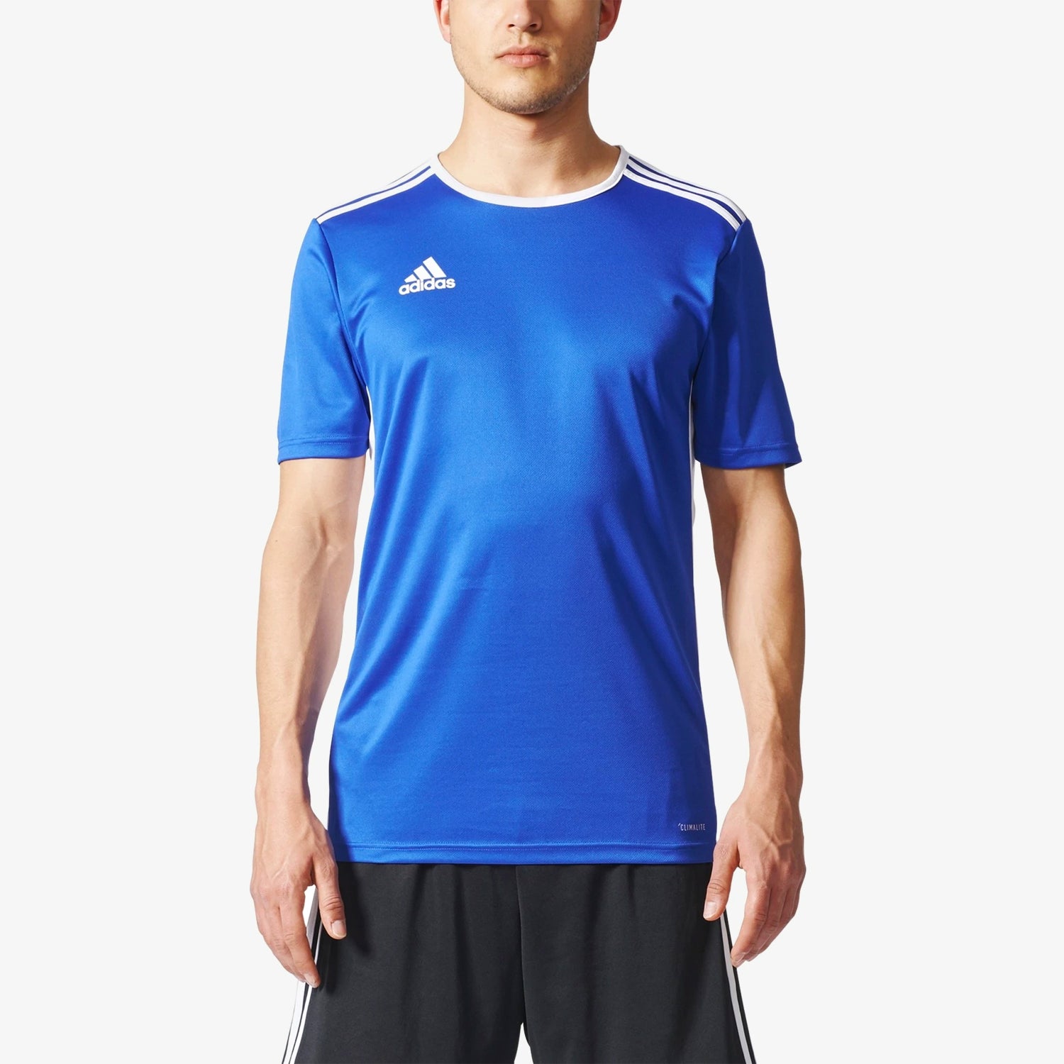 Entrada 18 Jersey Bold Blue Men's - CF1037-ADIDAS by Adidas | Available at Niky's Sports