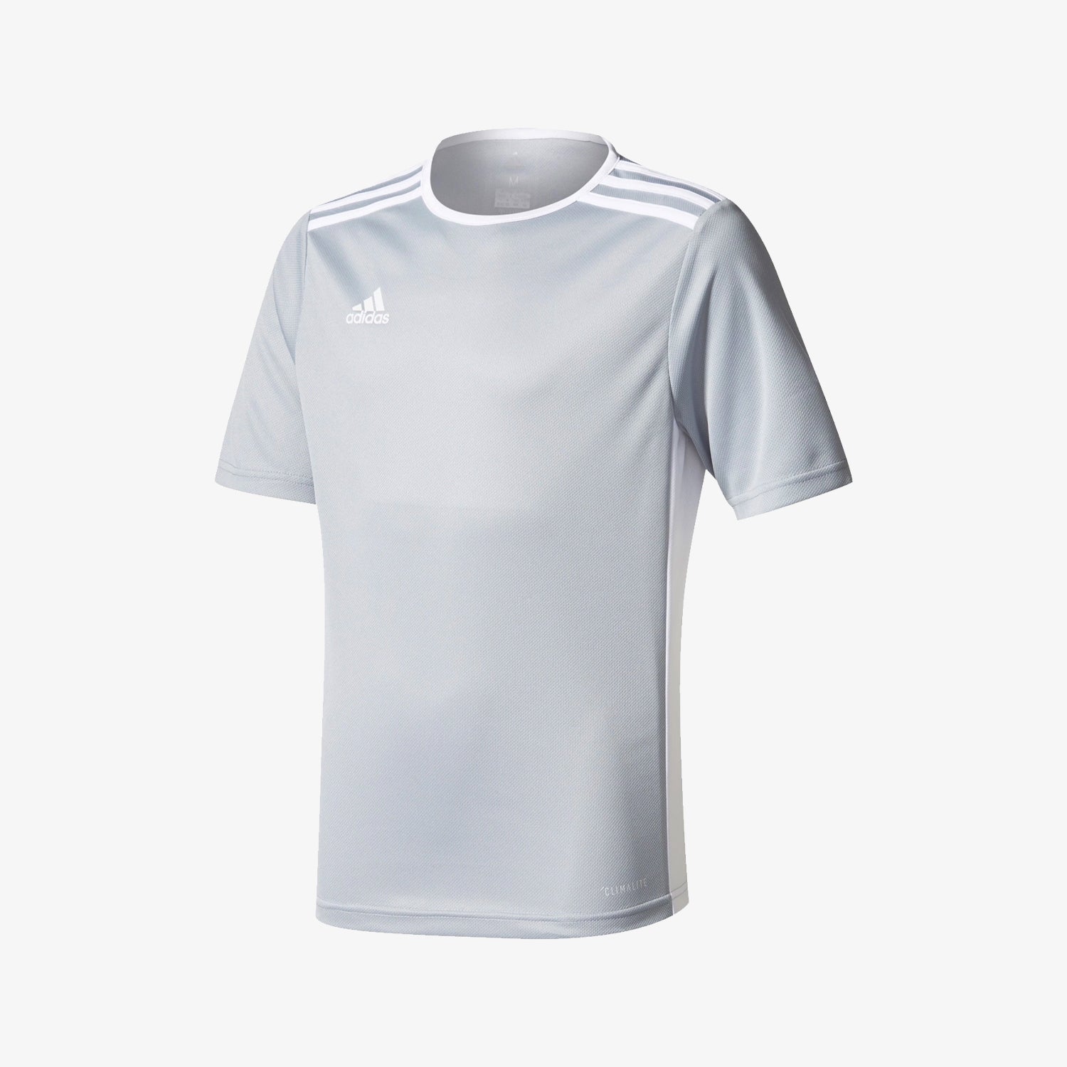 Youth Entrada 18 Training Jersey - Silver