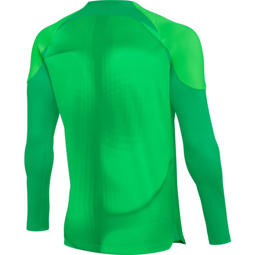 Nike Dri-FIT ADV Gardien 4 Goalkeeper Men's Long-Sleeve Soccer Jersey