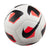 Nike Park Soccer Ball