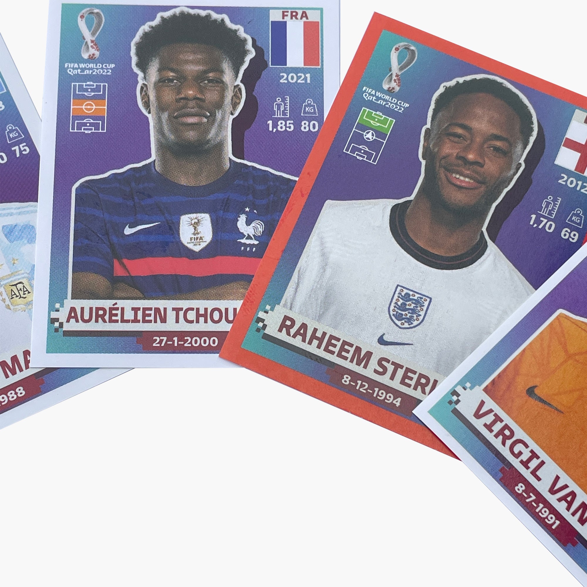  PANINI FIFA WORLD CUP QATAR 2022 STICKER BOX (50 packs x 5  stickers) : Toys & Games