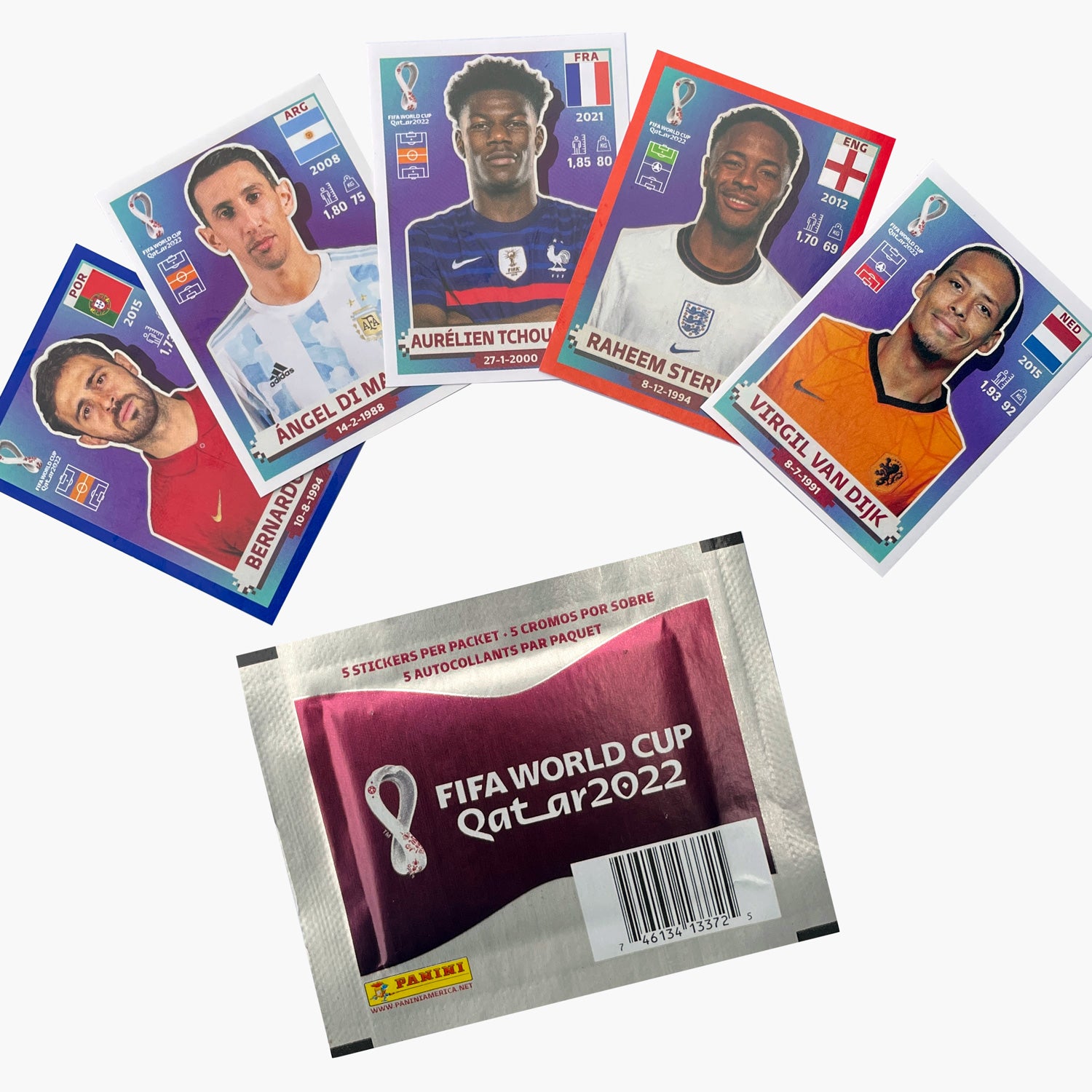 2022 Panini FIFA World Cup Album Stickers