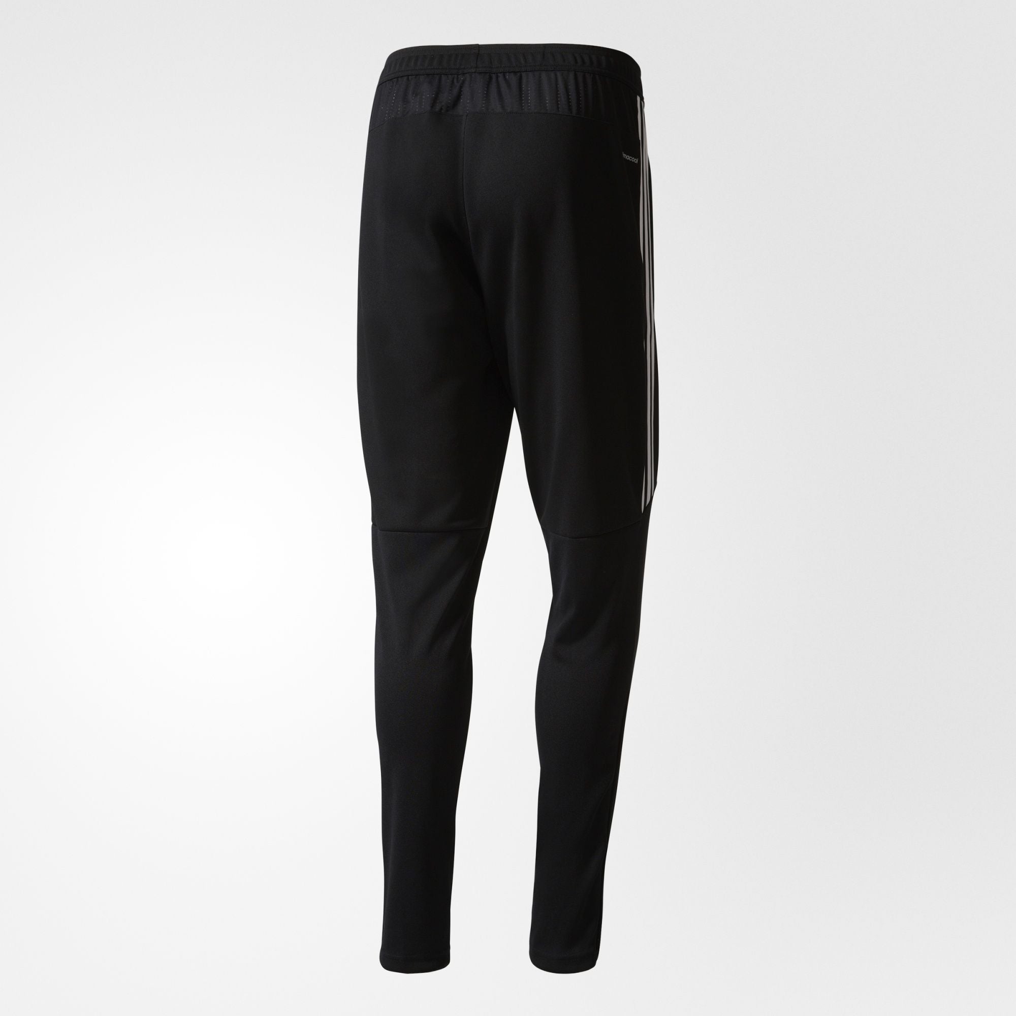 Adidas tiro 17 pants academy on sale