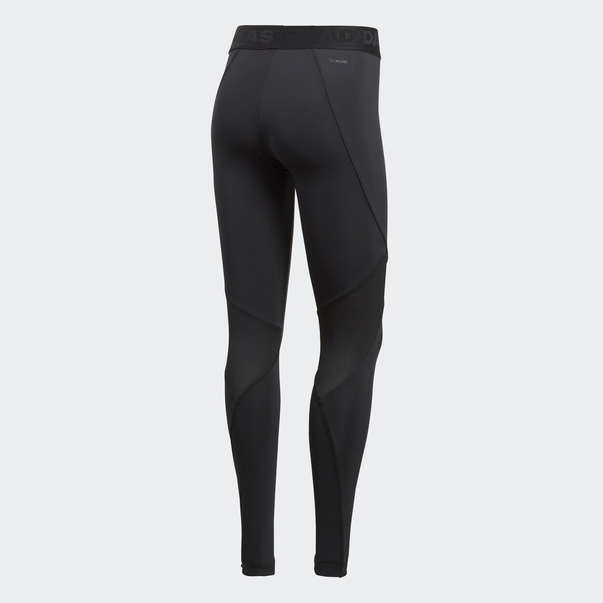 Women's Alphaskin Sport Tights - Black