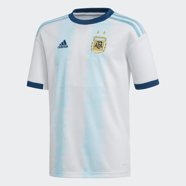 Adidas Argentina 2022 Tiro Training Jersey Youth (Blue)